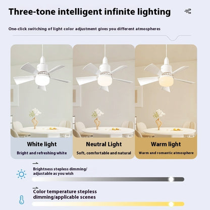 Fan Bulb Integrated Home Dormitory