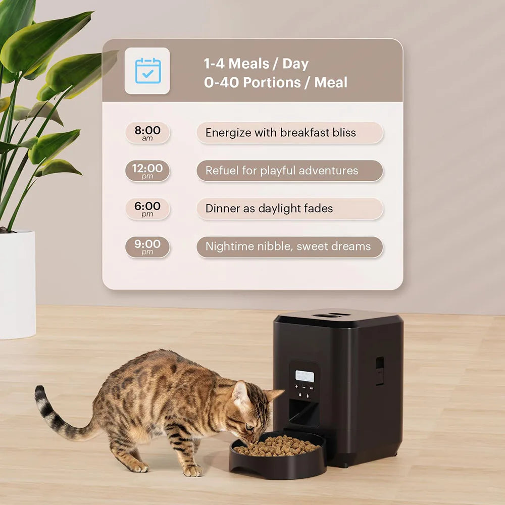 automatic pet feed dispenserautomatic pet feed dispenserautomatic pet 